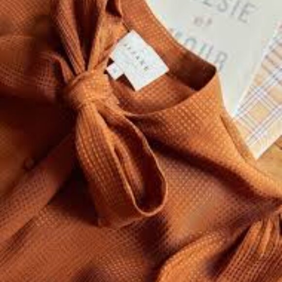 Laurya Sezane Shirt - Picture 4 of 8